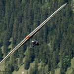 Drachenflieger vor Waldhang